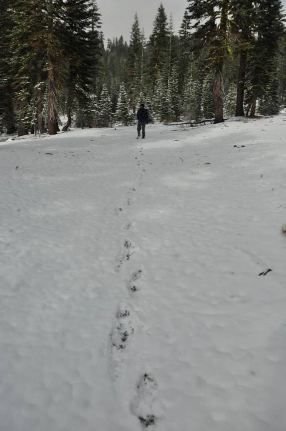 As pegadas servirão para acharmos o caminho de volta na floresta do Mount Shasta, na Califórnia, nos Estados Unidos